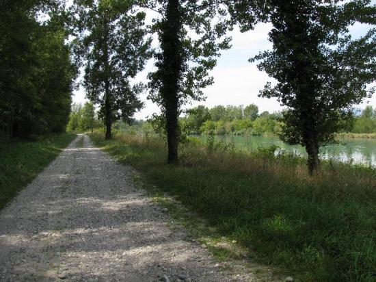 chemin ombragé